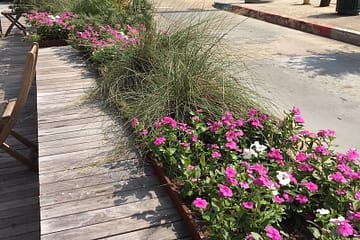 Find expert New Orleans plantscaping services.