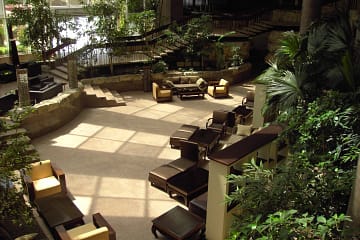 Explore interior plant design in Baton Rouge.