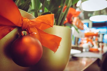7 Christmas Office Plants To Make the Season Merry