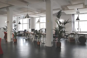 Louisiana Plant Watering Services: 4 Great Benefits