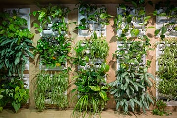 Get Spring Ready With Indoor Landscape Architecture | Louisiana