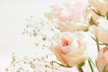 4 Reasons to Use Wedding Plant Rentals
