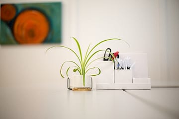 Prepare for fall with office plant maintenance!
