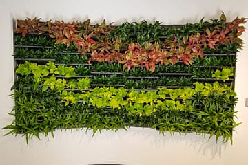 Interior plantscapes can transform your home or office!
