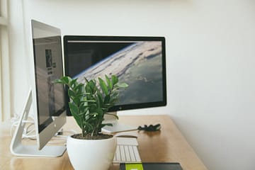 These interior plantscaping ideas for your office can update your professional space!