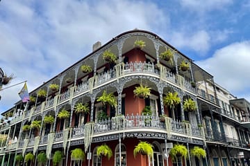 Learn about all the benefits of office plants in New Orleans!