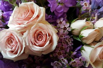 A close up shot of New Orleans hotel plants and flowers.